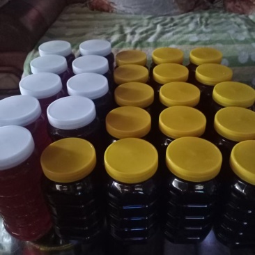 正宗土蜂蜜，雅安要的可以联系我微信***********