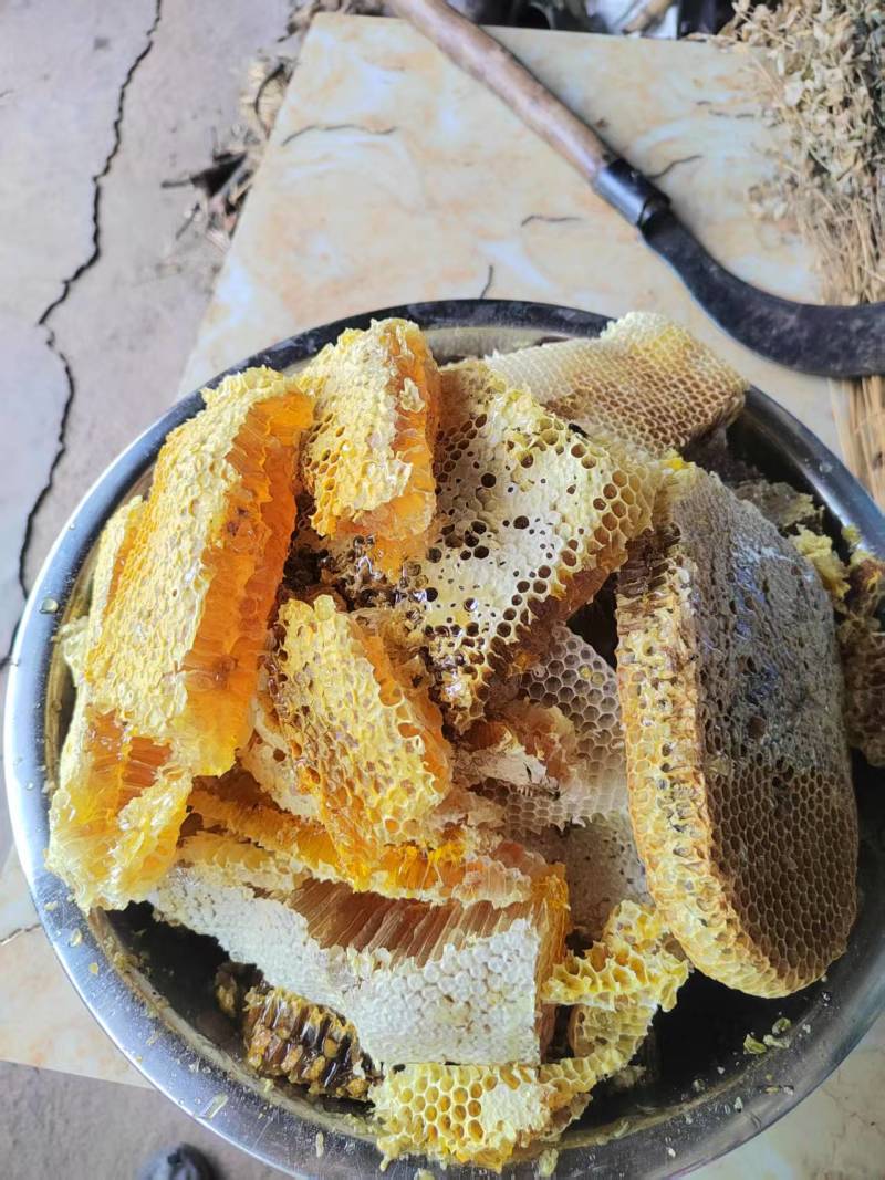 正宗土蜂蜜，雅安要的可以联系我微信***********