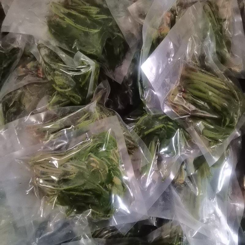 【泡菜】盐渍香椿商用，量大，规格全。