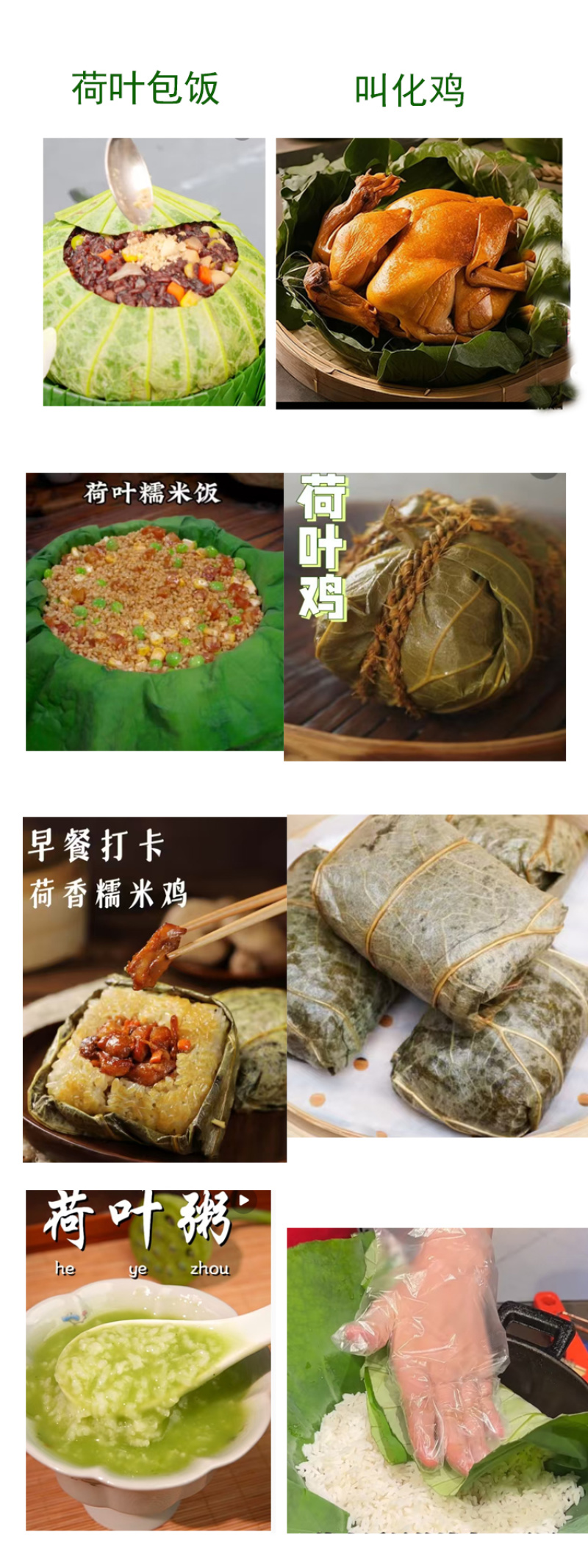 2025年整张新荷叶干荷叶叫化鸡专用荷叶莲叶荷叶茶50斤
