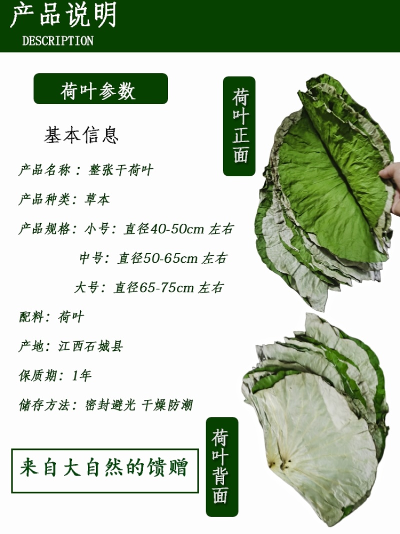 新整张干荷叶莲叶叫花鸡荷叶鸡糯米鸡荷叶粥干荷叶家用包