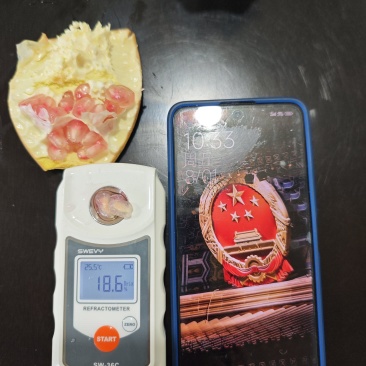 现货突尼斯软籽石榴带箱5斤一件代发平台开跑