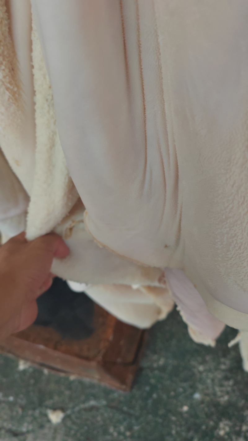 水退牛肚：鲜嫩弹牙，原香入骨，一口鲜掉眉