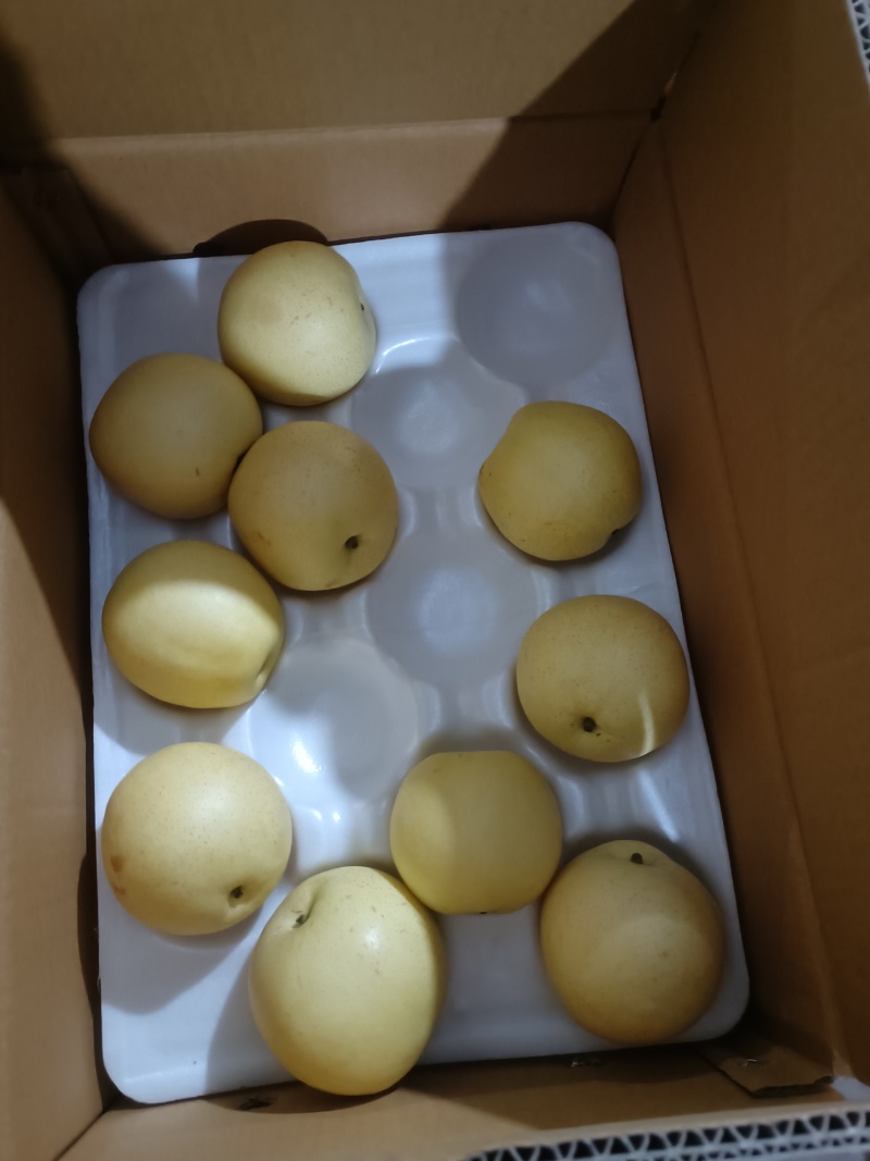 皇冠梨