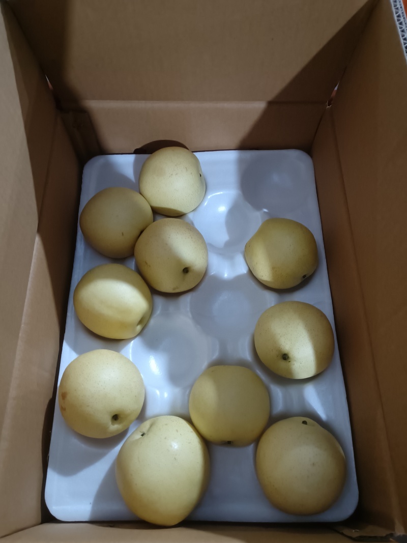 皇冠梨