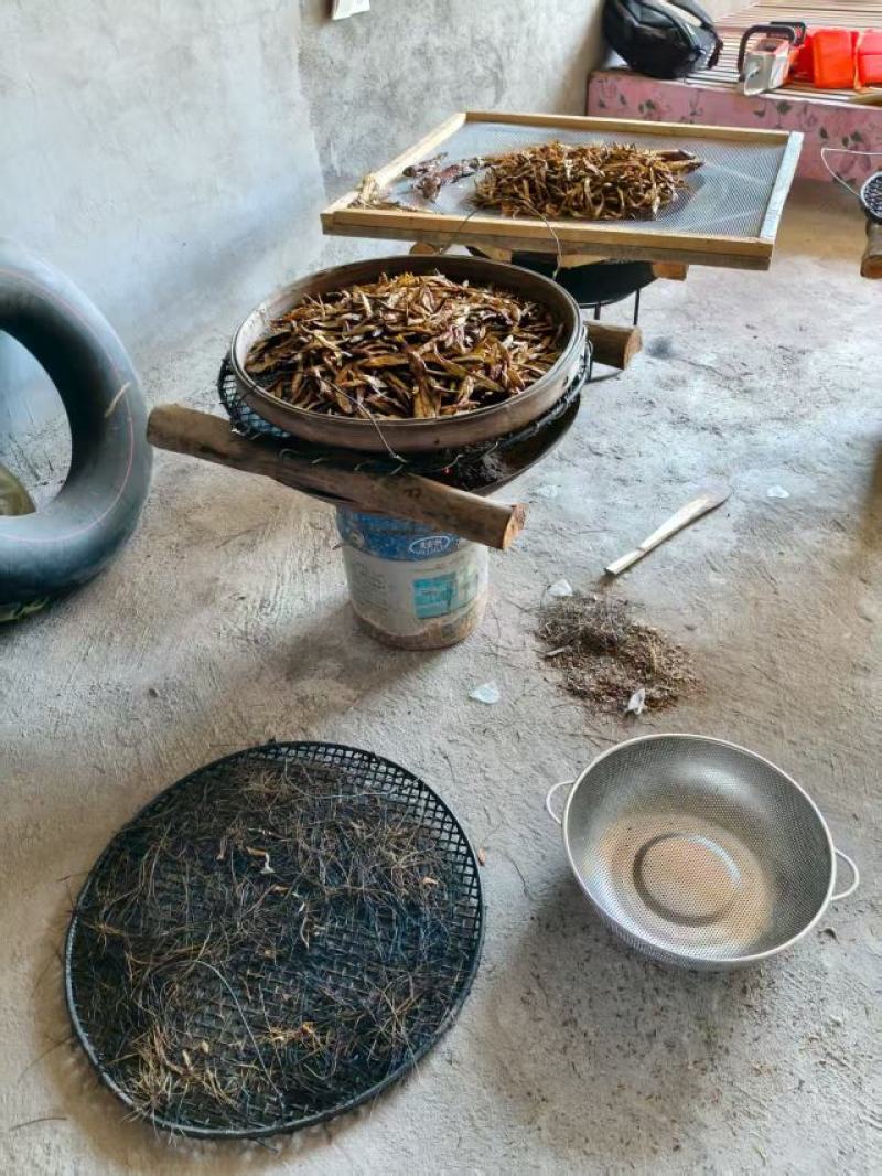 鱼干
