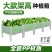 家用种植箱种菜专用箱种菜盆阳台花盆长方形长条户外庭院简约花箱