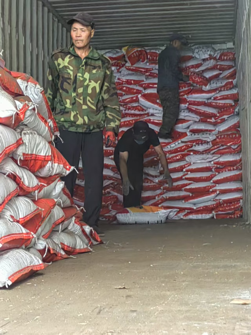 育苗基质，营养土，适合蔬菜瓜果，国产加进口，产地直供