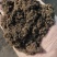 育苗基质,营养土,适合蔬菜瓜果,国产加进口,产地直供
