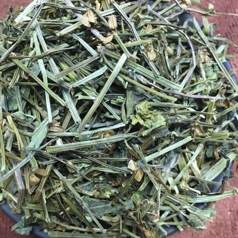 精选野生半枝莲1正品新货半枝莲无硫干货中药材批发半枝莲半枝莲