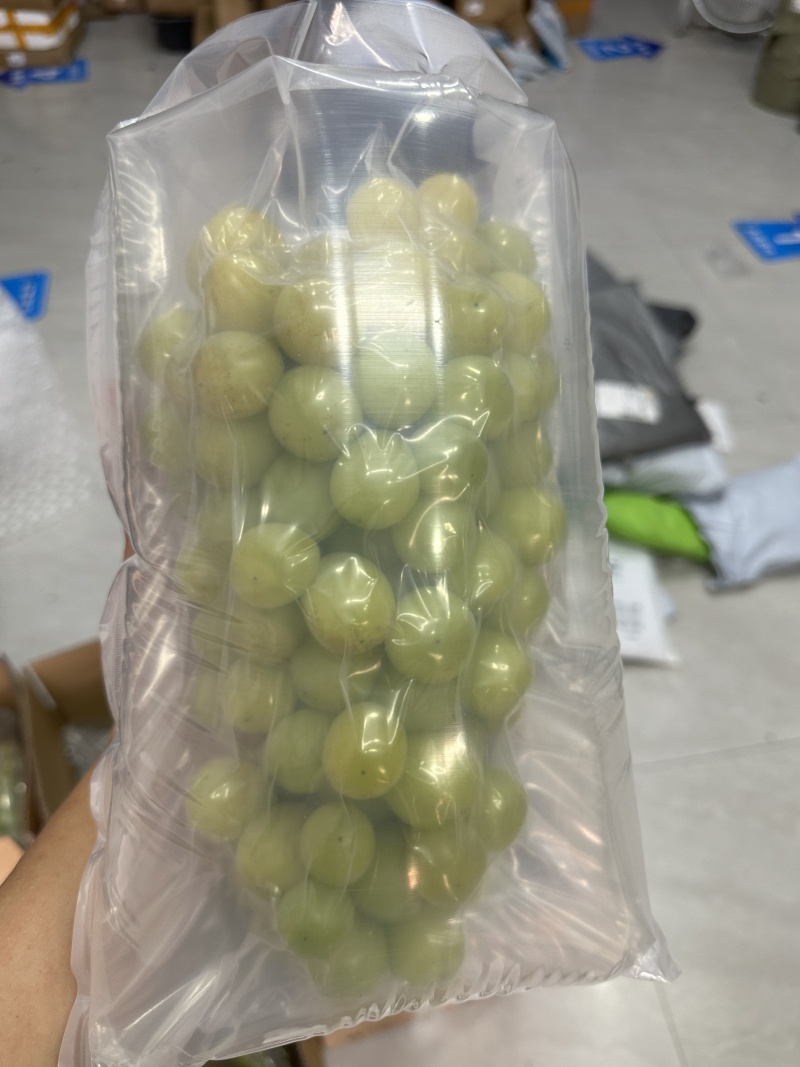 阳光玫瑰