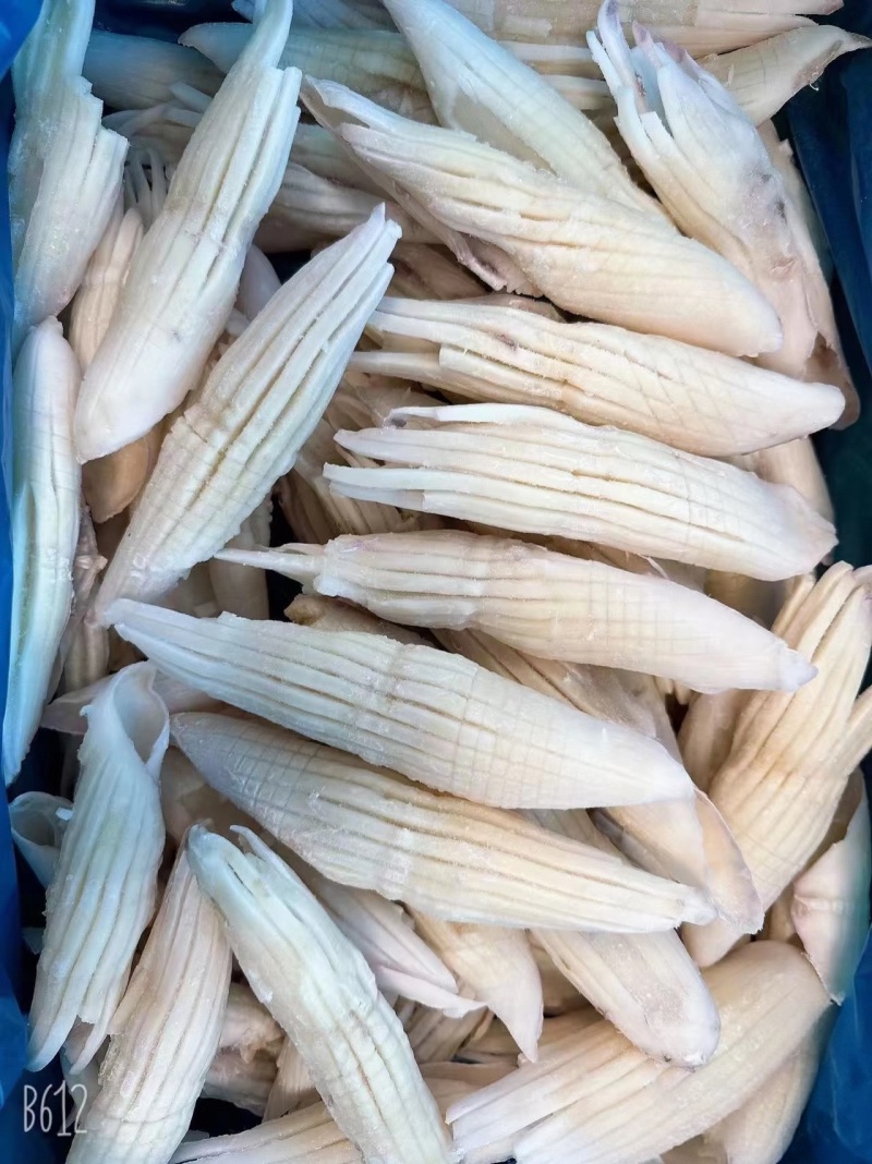 火箭鱿鱼