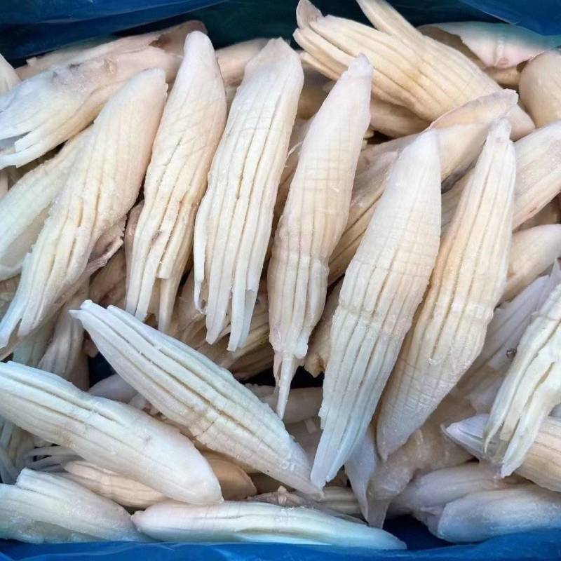 火箭鱿鱼