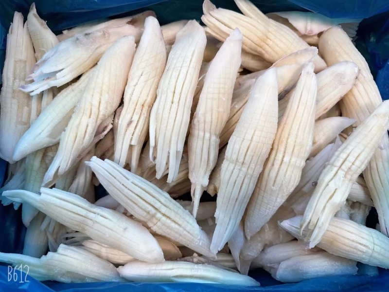 火箭鱿鱼
