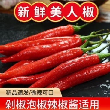 香辣美人椒剁椒泡酱农家红辣椒新鲜量大从优