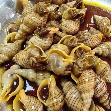 贝贝螺
