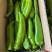 毛毛钱精品牛角椒