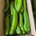 毛毛钱精品牛角椒