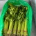 聊城精品山芹毛芹商标平台市场发货支持各种包装