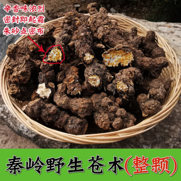 正品秦岭野生苍术南苍术块苍术野生茅苍中药材苍术粉熏烟
