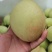 鹰嘴桃