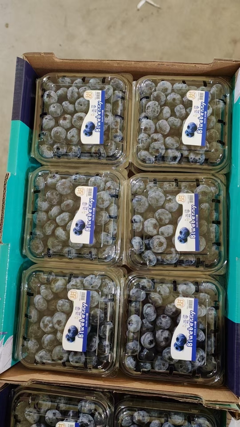 德雷珀蓝莓18+
