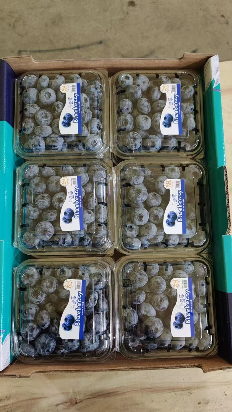德雷珀蓝莓18+
