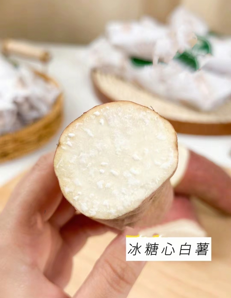 哈密地瓜红皮哈密白哈密沙地种植口感甜糯保质保量