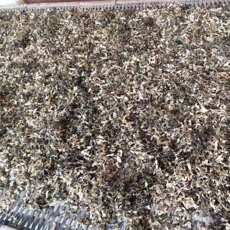 农家菜干干菜干白菜干青菜干包菜干无盐菜干