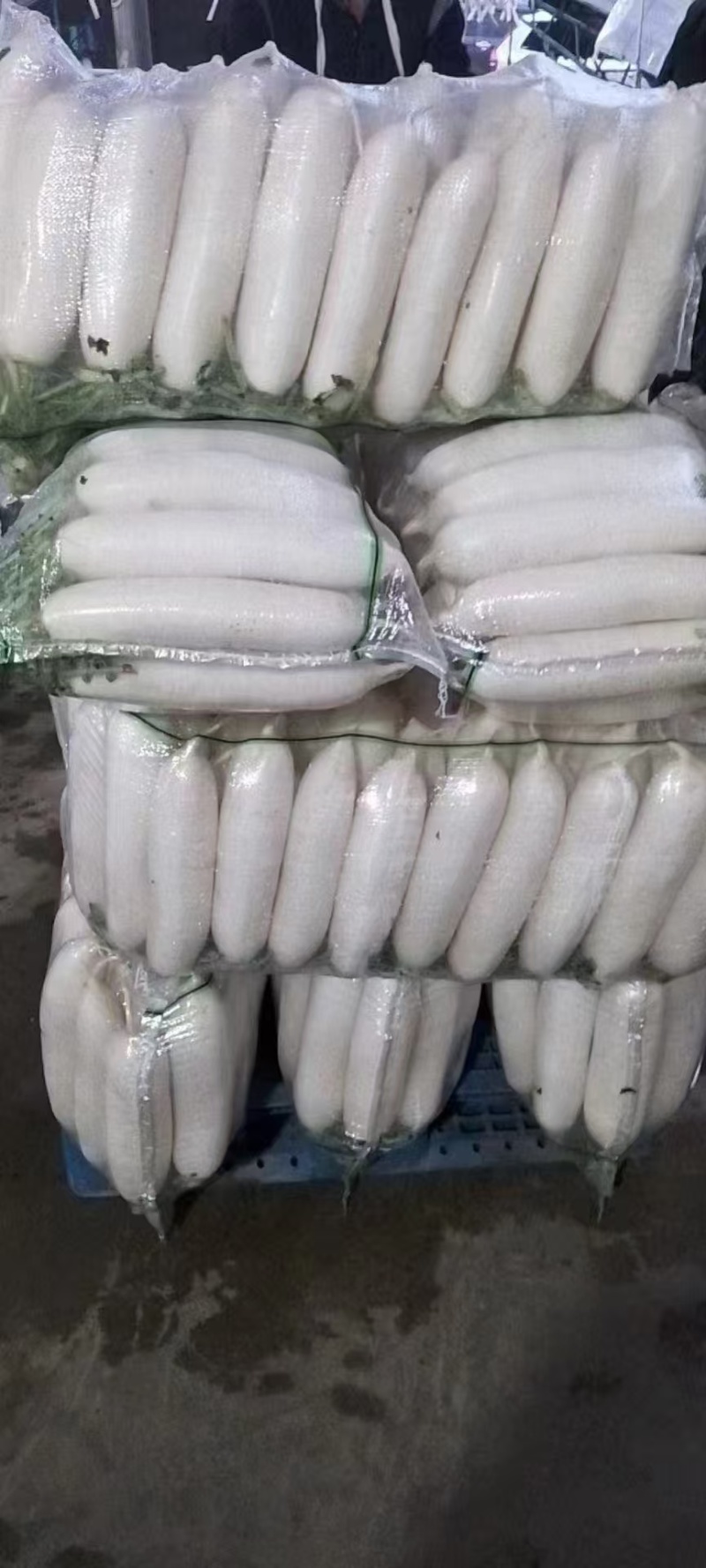 [热卖]湖北萝卜精品白萝卜货源充足全国发货
