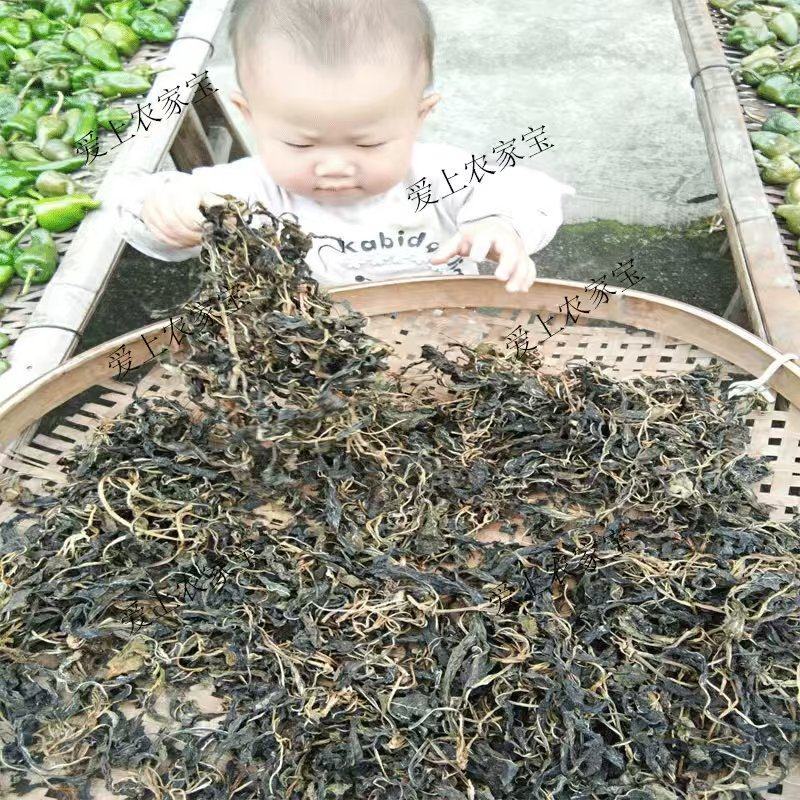野生苦菜干新鲜苦斋婆农家自晒野菜干煲汤菜干