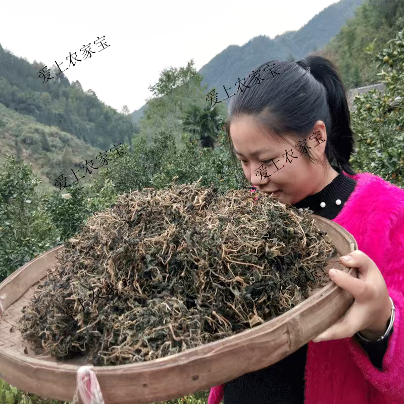 野生苦菜干新鲜苦斋婆农家自晒野菜干煲汤菜干