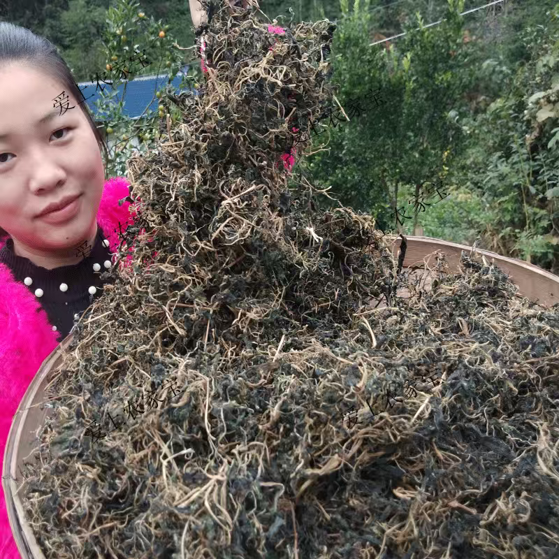 野生苦菜干新鲜苦斋婆农家自晒野菜干煲汤菜干