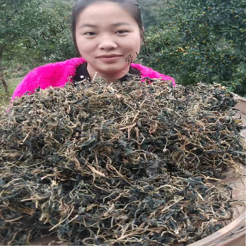 野生苦菜干新鲜苦斋婆农家自晒野菜干煲汤菜干