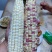 鲜食玉米，糯玉米
