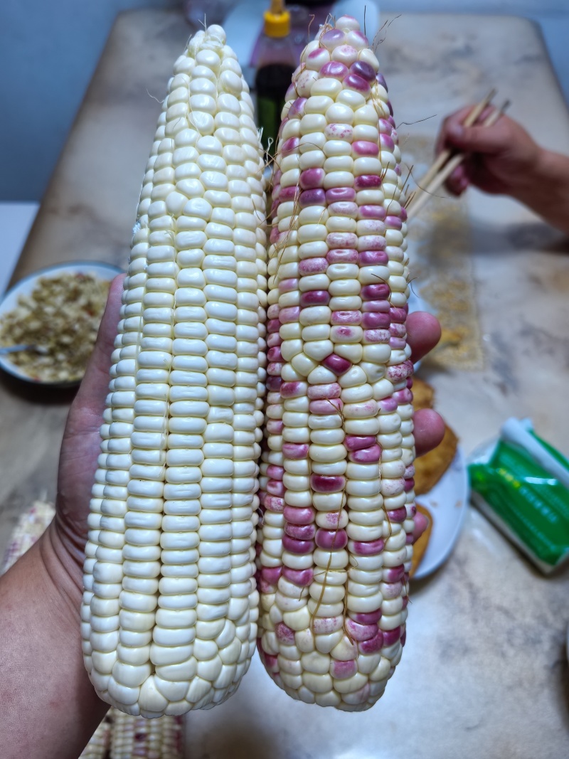 鲜食玉米，糯玉米