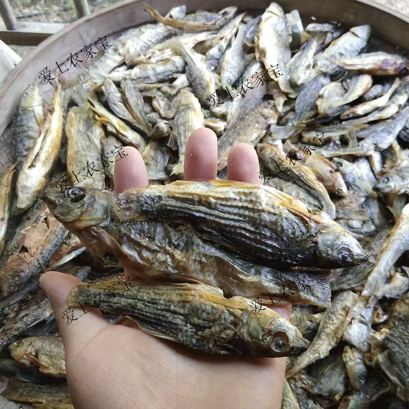 江西淡水石斑鱼纯石斑鱼干全干