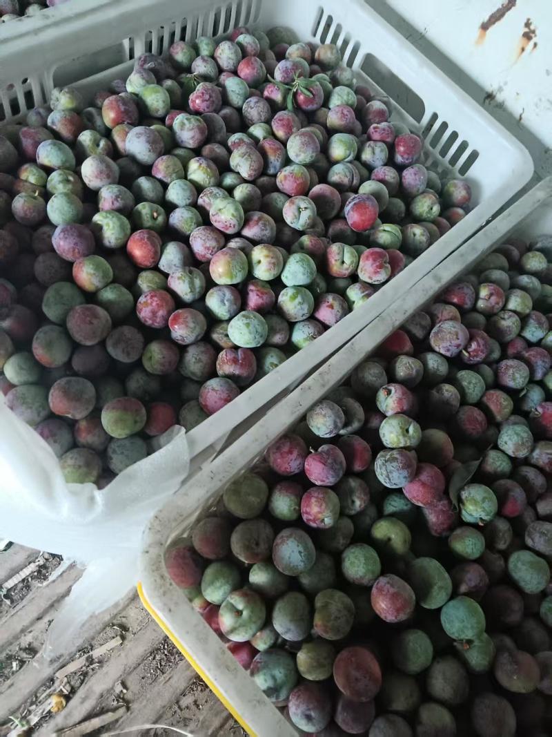 小脆红大量上市，价格便宜