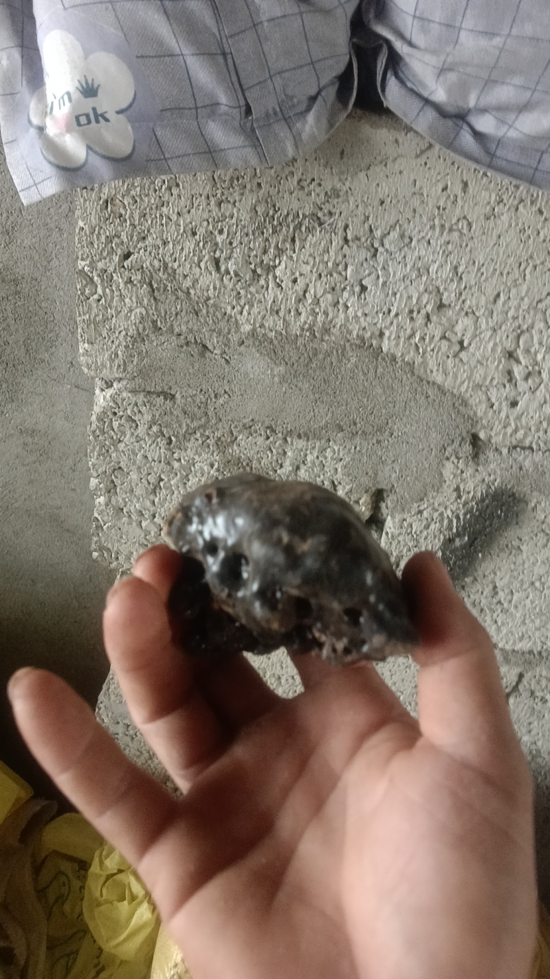 猴结
