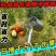 新款摘枣子神器加厚酸枣镀锌钢摘果器采果山枣