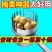 新款摘枣子神器加厚酸枣镀锌钢摘果器采果山枣