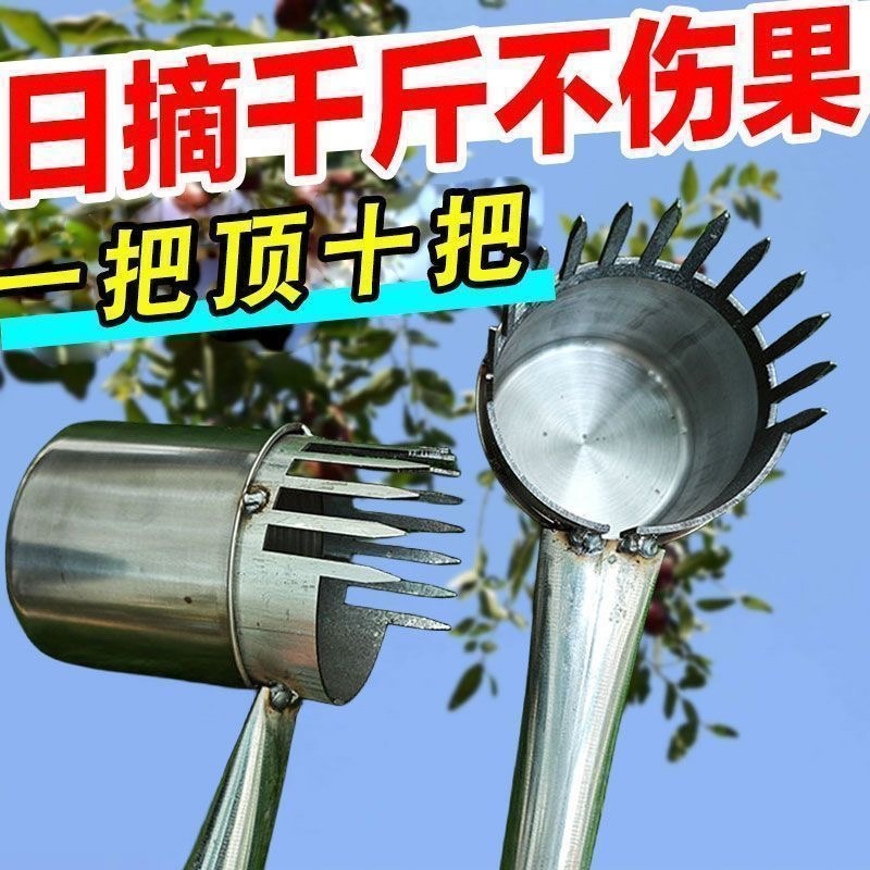 新款摘枣子神器加厚酸枣镀锌钢摘果器采果山枣