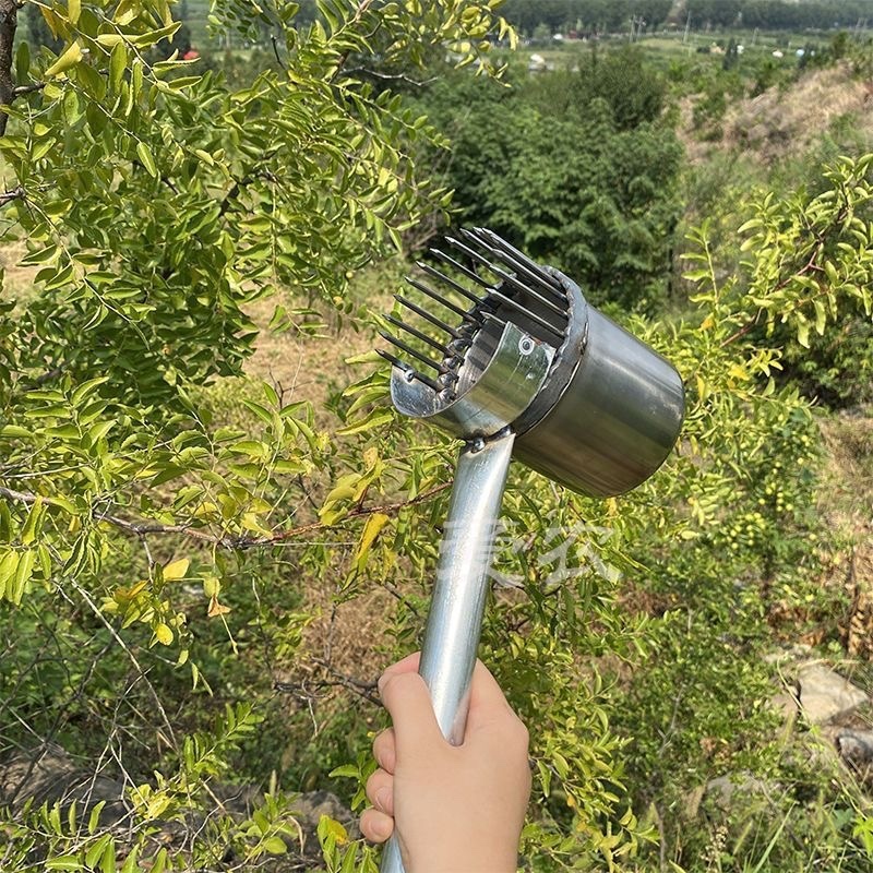 新款摘枣子神器加厚酸枣镀锌钢摘果器采果山枣