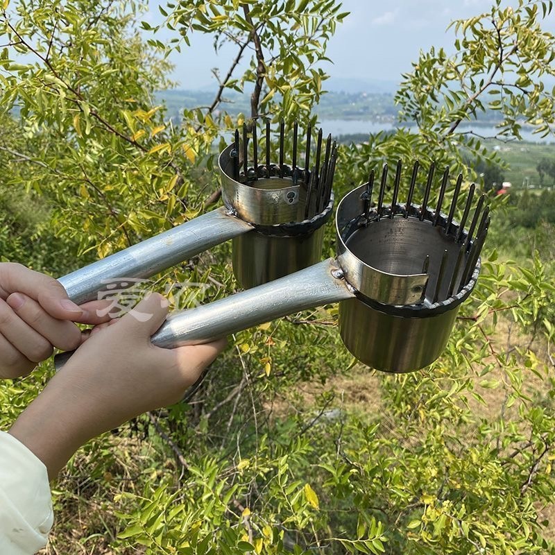 新款摘枣子神器加厚酸枣镀锌钢摘果器采果山枣