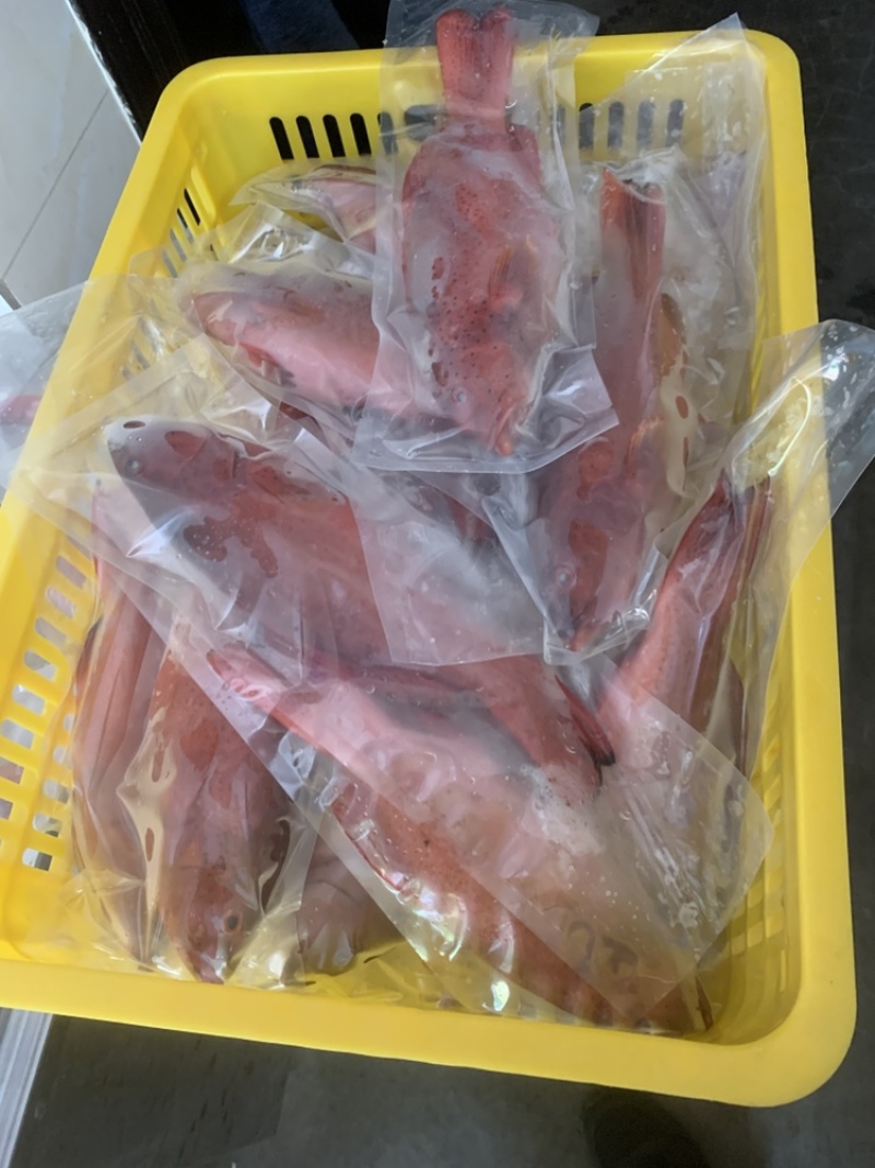 东星斑，原条冻品真空包，各种规格全有，品相品质鲜嫩多汁。