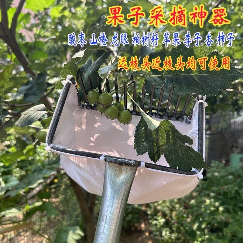 新款摘酸枣工具摘柏树籽神器白果女贞子野山枣茶油果