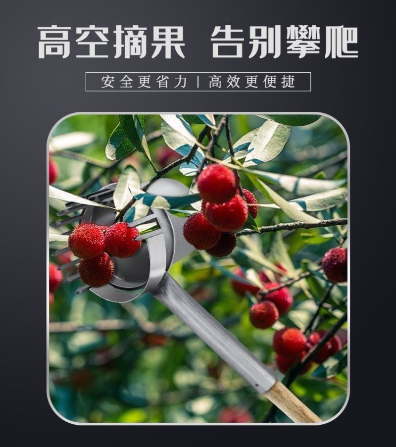 新款摘酸枣工具摘柏树籽神器白果女贞子野山枣茶油果