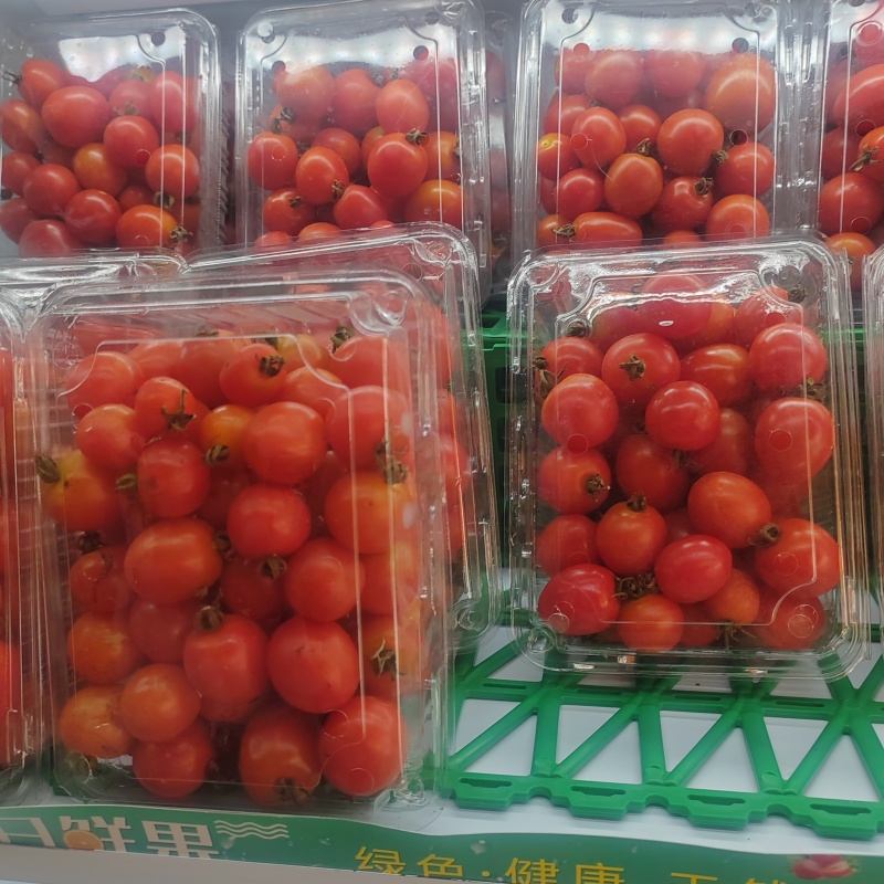 小潘茄