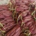 大量供应秦薯5号板栗红薯