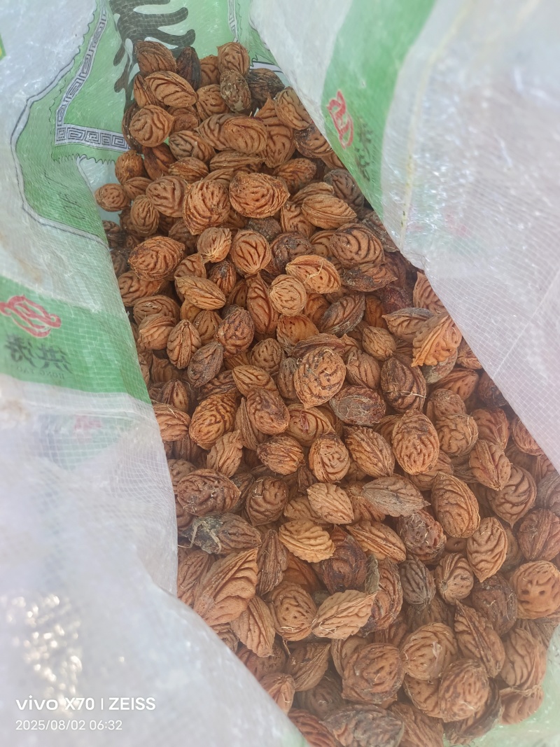 桃核桃仁，毛桃核一手货源产地直发